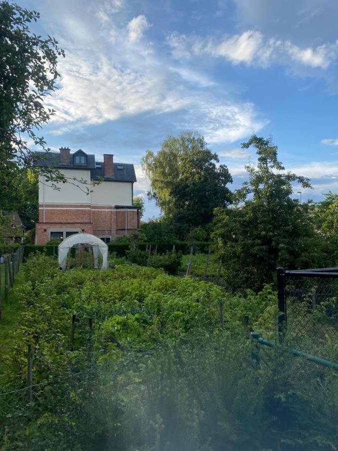 Nummer 151 Villastudios ハッセルト エクステリア 写真